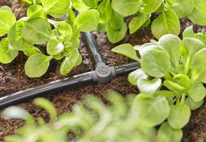 Gardena 13211-20 Micro-Drip-System T-koppling 4,6 mm (3/16") x10