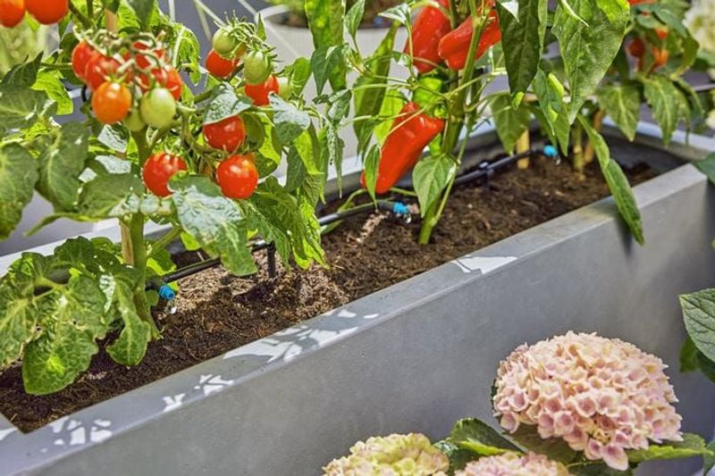 Gardena 13400-20 Micro-Drip Startset Terrass (30 plantor)