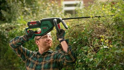 Bosch AdvancedHedgeCut 36V-65-28 Häcksax (utan batterier)