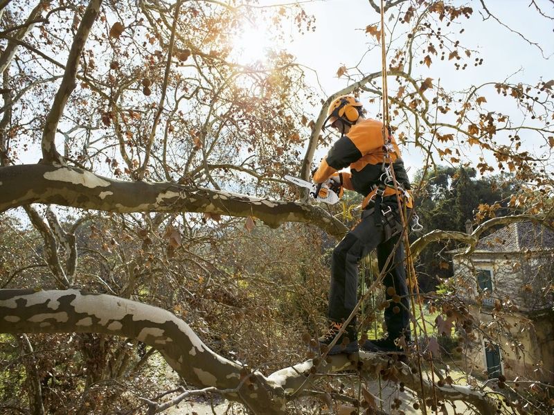 Stihl MS 151 TC-E Motorsåg 1kW (25cm)