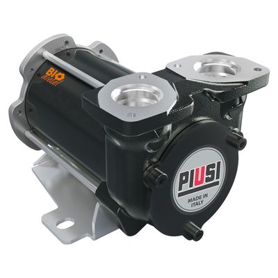 Piusi dieselpump BP3000 12V bio 50 l/min endast pump biodiesel