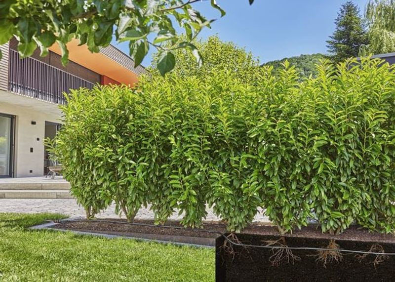 Gardena 13500-20 Micro-Drip Startset Buskar/Häckar (25 m)
