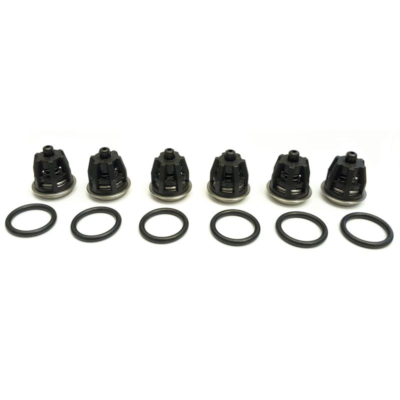 RM De Wit kit 1 ventilsats interpump