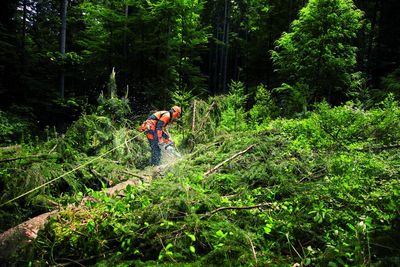 Stihl MS 362 C-M Motorsåg 40cm 1,6mm 3/8"