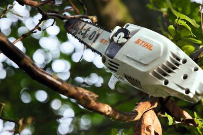 STIHL HTA 86 Stamkvistare 36V + 2 st AP 200