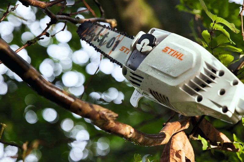 STIHL HTA 86 Stamkvistare 36V + 2 st AP 200