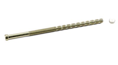 Habo Cylinderskruv M5X100 + Täcklock Krom SB