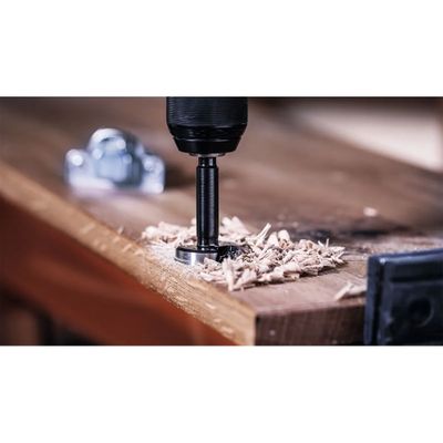 Bosch Kvistborr EXPERT 10-50mm