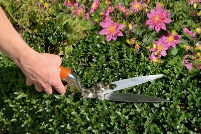 Bahco GS-76 Grässax – Självslipande och justerbara skär