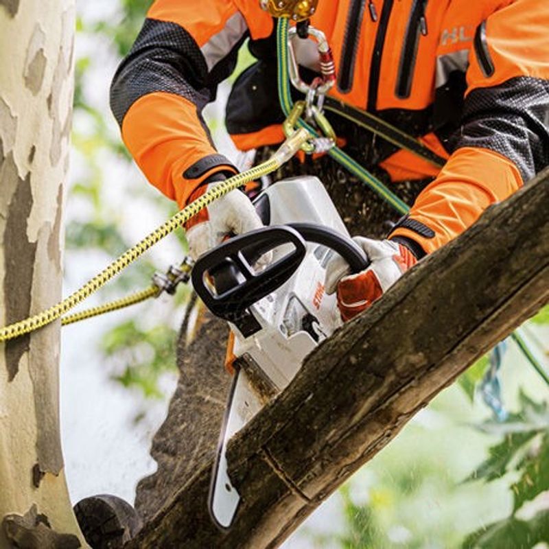 Stihl MSA 161 T Batterisåg 30cm 36V (utan batterier)
