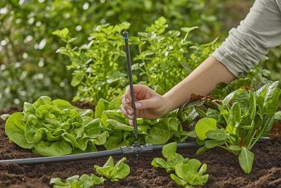 Gardena 13326-20 Micro-Drip-System Förlängningsrör 24cm för spridarmunstycken 5st