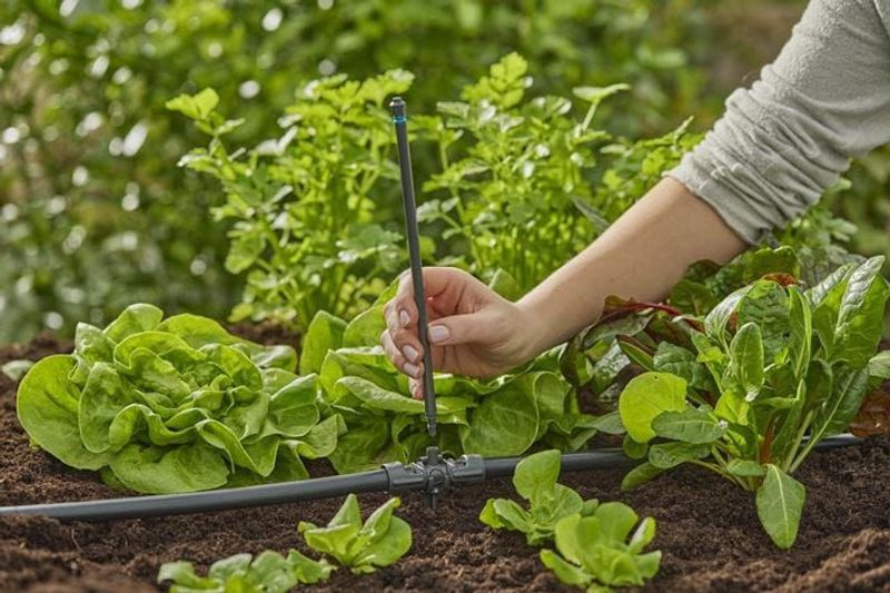 Gardena 13326-20 Micro-Drip-System Förlängningsrör 24cm för spridarmunstycken 5st