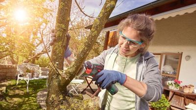 Bosch Multisåg EasyCut 12 12V (utan batteri)