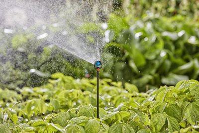 Gardena 13326-20 Micro-Drip-System Förlängningsrör 24cm för spridarmunstycken 5st