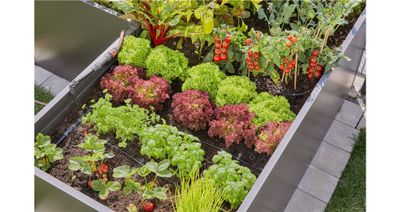 Gardena 13455-20 Micro-Drip Startset Pallkrage (35 plantor)