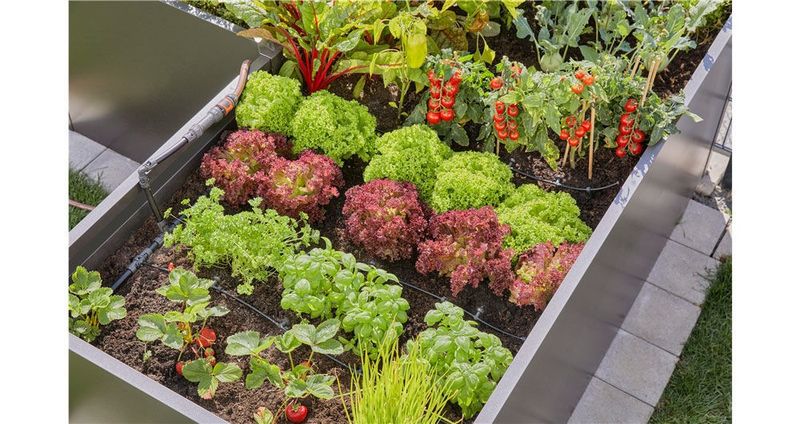 Gardena 13455-20 Micro-Drip Startset Pallkrage (35 plantor)
