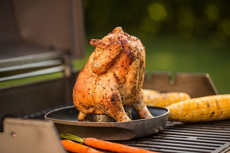 Weber 6731 Style Kycklinghållare