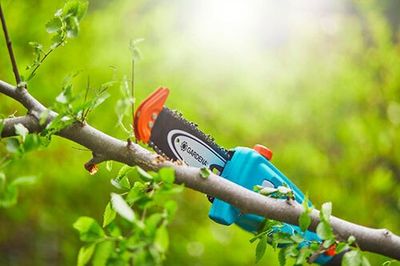Gardena Teleskopisk Stångsåg TCS 20/18 V P4A (utan batteri)