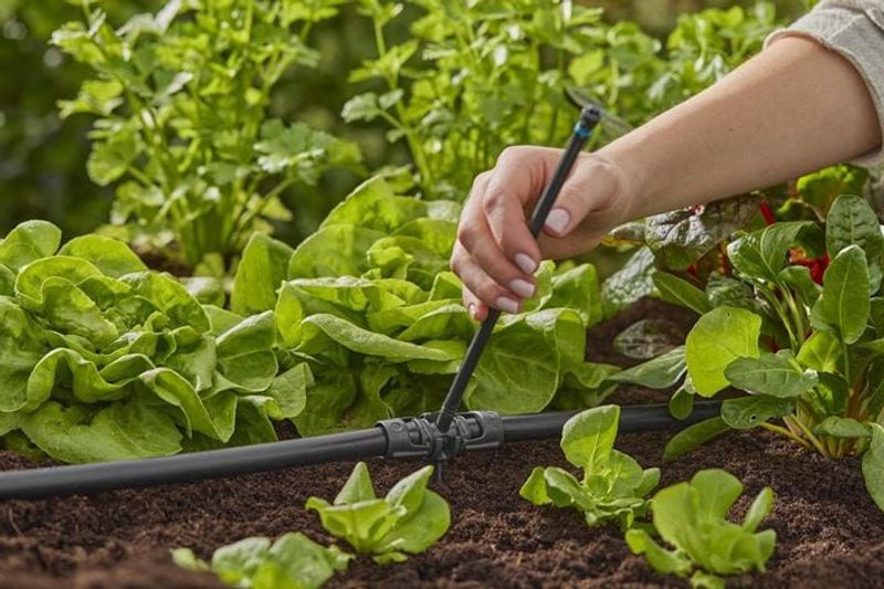 Gardena 13326-20 Micro-Drip-System Förlängningsrör 24cm för spridarmunstycken 5st