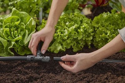 Gardena 13201-20 Micro-Drip-System T-koppling 13 mm (1/2") x2