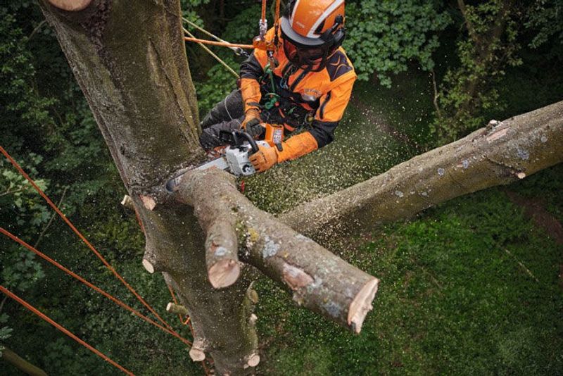 Stihl MSA 220 TC-O Batteridriven kedjesåg 30cm 36V (utan batterier)