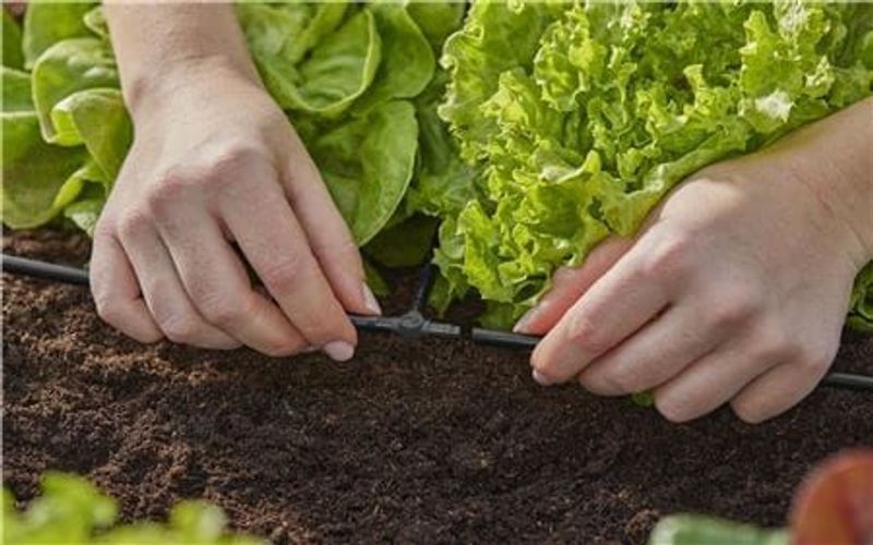 Gardena 1348-20 Micro-Drip-System Fördelarrör 50 m 4,6 mm (3/16")