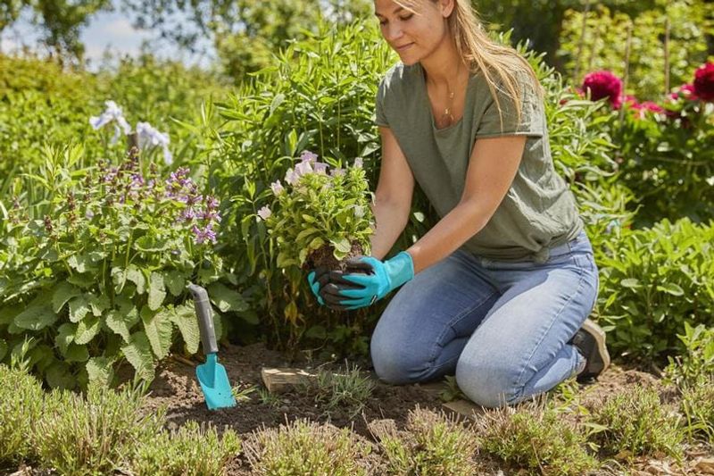 Gardena 11510-20 Planteringshandske Stl 7/S