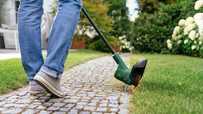 Bosch EasyGrassCut 18V-26 Sladdös Grästrimmer 18V (utan batterier)