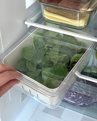 Förvaringslåda med durkslag