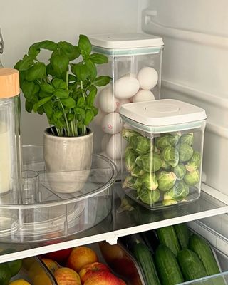 Förvaringsburk med klicklock 5-pack