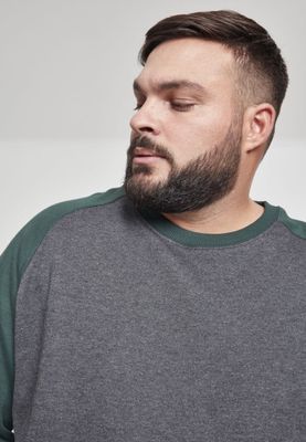 Tvåfärgad raglan sweatshirt