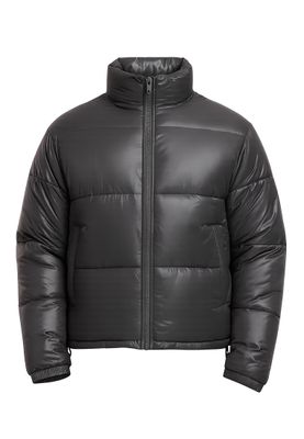Shiny Puffer Jacket Jacka för herr – magnet