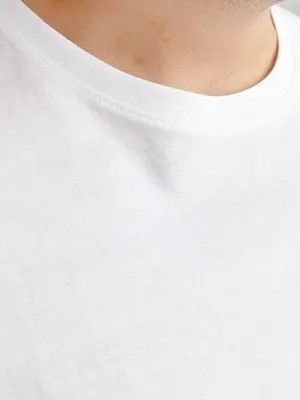 Vit plus size T-shirt herr med broderi – Jack & Jones