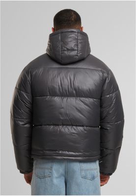 Ingen tydlig design Shiny Puffer Jacket With Hood Jacka för herr – magnet