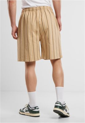 Printed Pinstripe Shorts