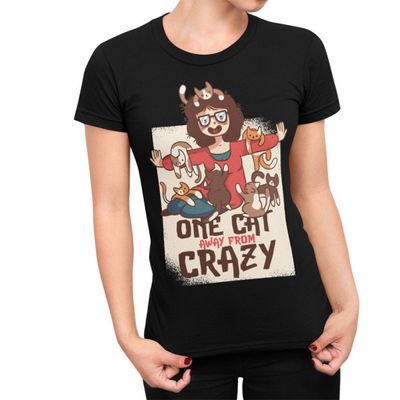 One cat away from crazy