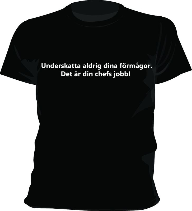 underskatta-aldrig-dina-formagor-2.jpg