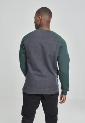 Tvåfärgad raglan sweatshirt