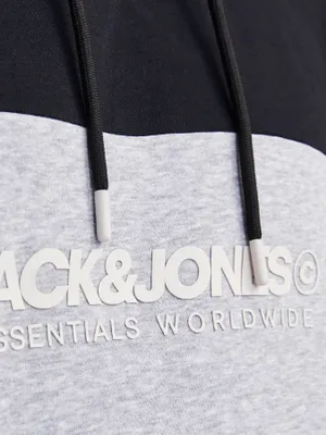 Jack & Jones blocking hoodie