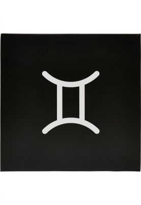 Zodiac Socks 2-pack