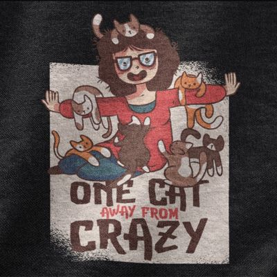 One cat away from crazy