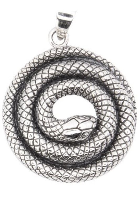 Snake in Circle - necklace 925 sterling silver
