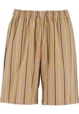 Printed Pinstripe Shorts