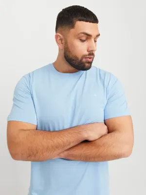 Ljusblå plus size T-shirt herr med broderi – Jack & Jones