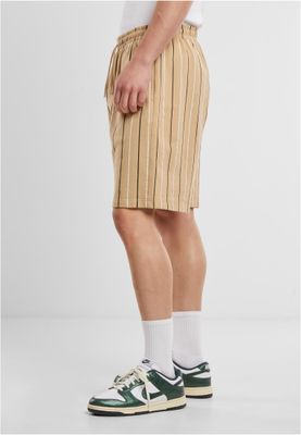 Printed Pinstripe Shorts