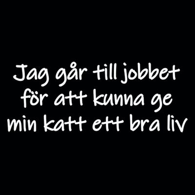 Ge min katt ett bra liv