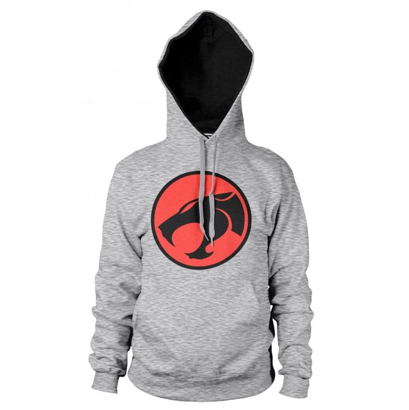 thundercatslogohoodie-1.jpg