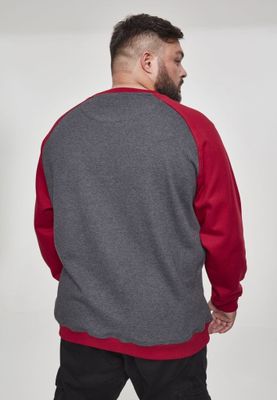 Tvåfärgad raglan sweatshirt