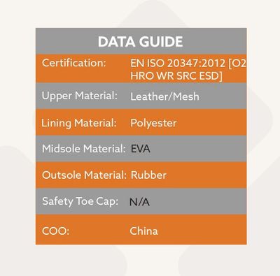 High safety boots 02 ESD