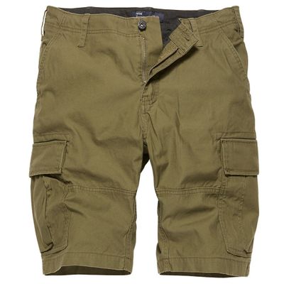 Men's shorts in cotton fabric